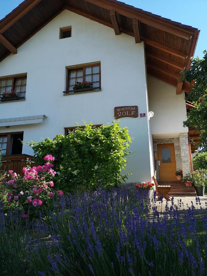 Apartmaji Volf Zgornje Gorje Exterior photo