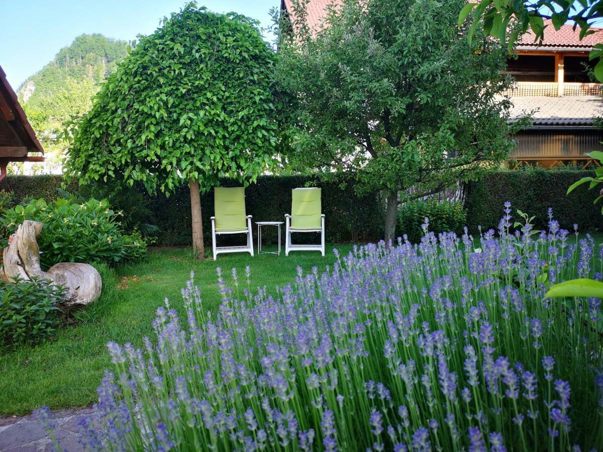Apartmaji Volf Zgornje Gorje Exterior photo